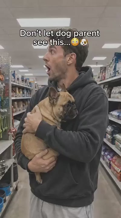 Pet parent holding a French bulldog in a store