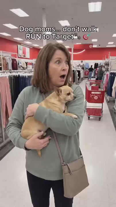 Pet parent carrying a chihuahua while shopping
